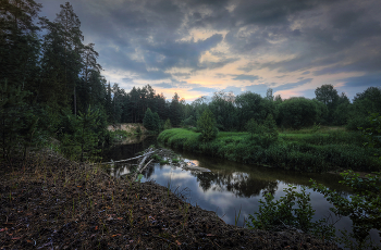Летний вечер / Нижегородская область, Городецкий район, река Узола, июль 2022 года.
