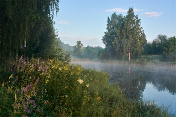 Летнее утро очень маленькой реки / ***