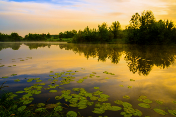 Рано утром. / Озеро Сосновое.
