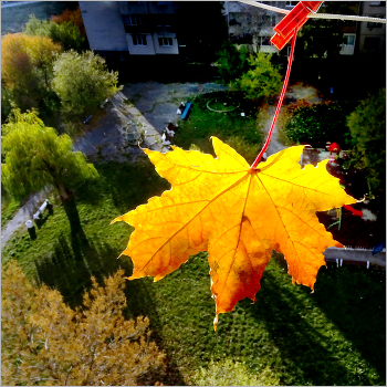 &nbsp; / Природа и животные