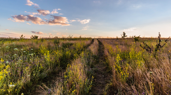 Июльская дорога. / ...
