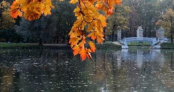 Гатчинская осень..... / Гатчина. Дворцовый парк. Октябрь