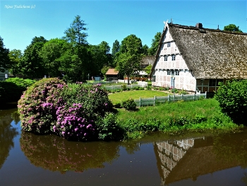 STADE / Stade - старинный (более 1000лет) миниатюрный городок возле Гамбурга. Узкие мощеные улочки, фахверковые дома, памятники, скульптуры, крошечная набережная и старая рыночная площадь, парк со старой мельницей и домиками, крытыми камышом, придают городу шарм и свой неповторимый образ.

На фото фахверковый домик и цветущий рододендрон

Слайд-шоу Штаде: https://www.youtube.com/watch?v=GnOBQdXAPkA