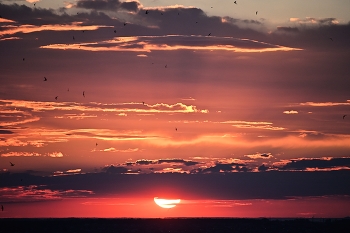 Закат / Закат