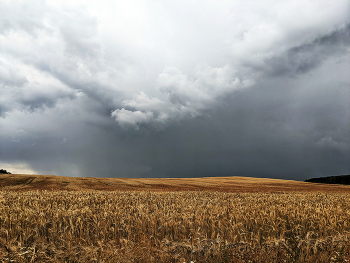 Перед грозой / #####