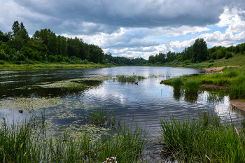 Прогулка у реки / Вид на зап. Двине, Витебск.