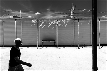 &nbsp; / the answer is blowing in the wind