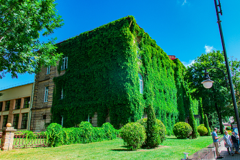 Гродно / https://www.instagram.com/vaguro_v_u_v

https://web.facebook.com/evgeniy.vagouro

https://vk.com/e.vaguro

https://www.youtube.com/user/MsREPOMEN

https://zen.yandex.ru/id/6229efa215abe97a09db4a54

https://www.tiktok.com/@vaguro_v_u_v

https://gurushots.com/Jek004