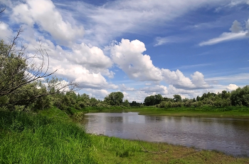 Малый приток Оби / Томская область