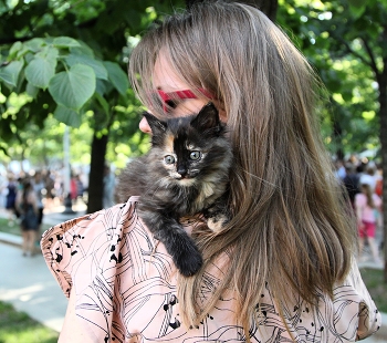 На прогулке / Город и его обитатели