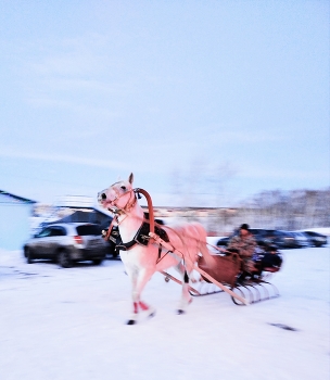 *Но, поехали!&quot;** / Зимнее катание на лошадях -традиционная русская забава