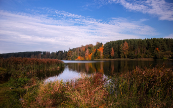 Осень на озере / Пейзаж