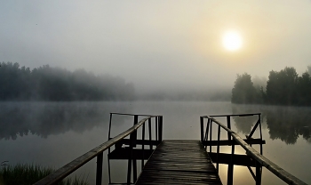 Утро на озере.......... / Петербург. Юкки. Июль