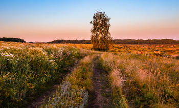 Дороги летние. / ...