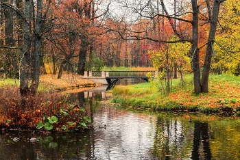 В Александровском парке / Октябрь 2021