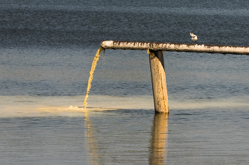 - Только посмотрите на это безобразие! / ...