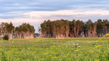 родные просторы.. / вечер, ..мило взгляду и душе!