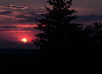 "Закат. День солнечный зачах ..." / "Закат. День солнечный зачах.
 Багровый диск из серой дымки,
 В твоих поселится зрачках,
 Как в неудачном фотоснимке.
 Моргнешь. Бесовский огонек
 Скрывают длинные ресницы.
 Ты все равно мой ангелок,
 Живущий в теплом теле птицы.
 Я чудо в перьях обниму
 Всепоглощающим обхватом.
 И тайну важную пойму -
 Вот так любуются закатом ..."