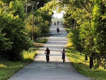 Улица летом / Летняя улица, дети на великах, выгул,пешеходы...
