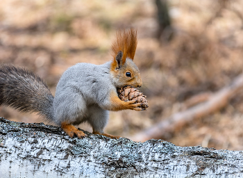 удача.. / для нас..