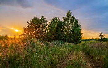 Вечер после дождя / 23.07.2022 Подмосковье, Дрезна