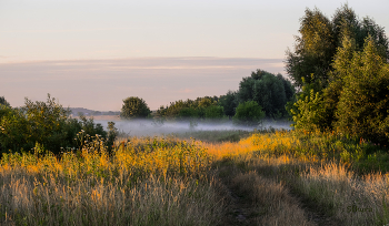 Туман в низине. / ***
