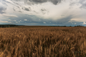 &nbsp; / Тульская область