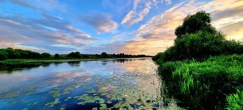 Вечерние силуэты... / Река Нерль, недалеко от Суздаля...