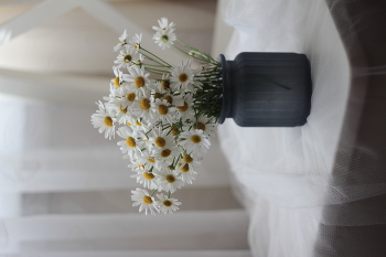 Р О М А Ш К И / ***