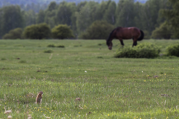Встреча / ***