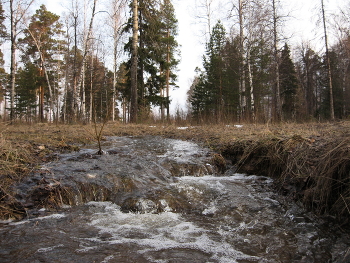 Ручей / Весенний ручей