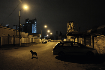 Холодный вечер 2 / Витебск