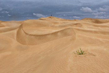 Ненастье в пустыне / Казахстан. Мангистау. Пески Тушикудук
