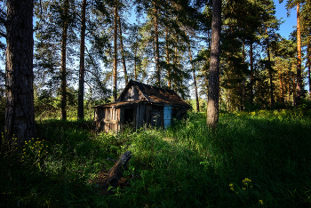 Избушка... / Домик в лесу...