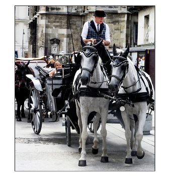 Прогулка по Вене / Город и деревня