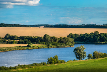 Июльский день / Цветовые контрасты лета.
Грайворонский район. Июль, 2022 года.
Из фотопроекта "Земля Белгородская».
