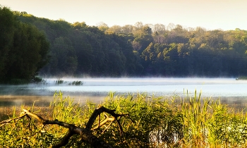 Рассветные мгновения / На пруду