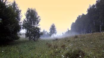 Утренний туман сползает в низину / Утренний туман сползает в низину