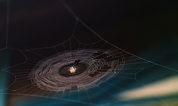 На батуте / Сюжеты лета