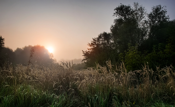Август / Август