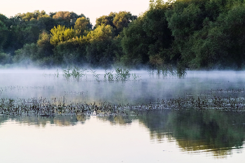 Утреннее дыхание / Сюжеты лета