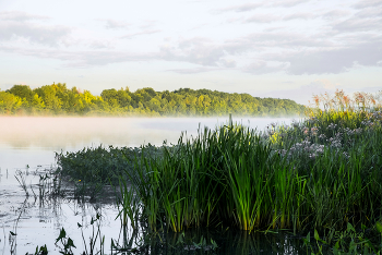 Летнее утро. / Летнее утро.