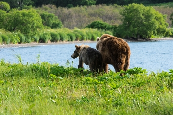 На берегу озера. / Случаются в жизни незабываемые моменты.