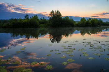 Утро на озере Сосновое. / Утро на озере Сосновое.