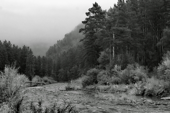 *Пасмурно.** / Горный Алтай.