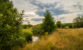 Вечер августа / 14 августа 2022 года. Восток Московской области, река Дрезна