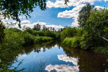 Лесная речка / Лесная речка