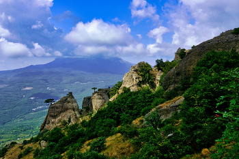 На склонах Южного Демирджи / Крым. Южный Демирджи