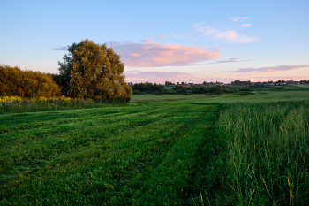 Вечер в поле 4 / На горизонте пос. Ольгово на окраине Витебска.