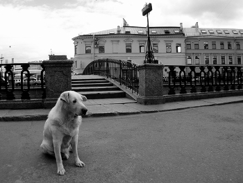 44_44 / Санкт-Петербург, наб. канала Грибоедова у Сенного моста, август 2005 г.